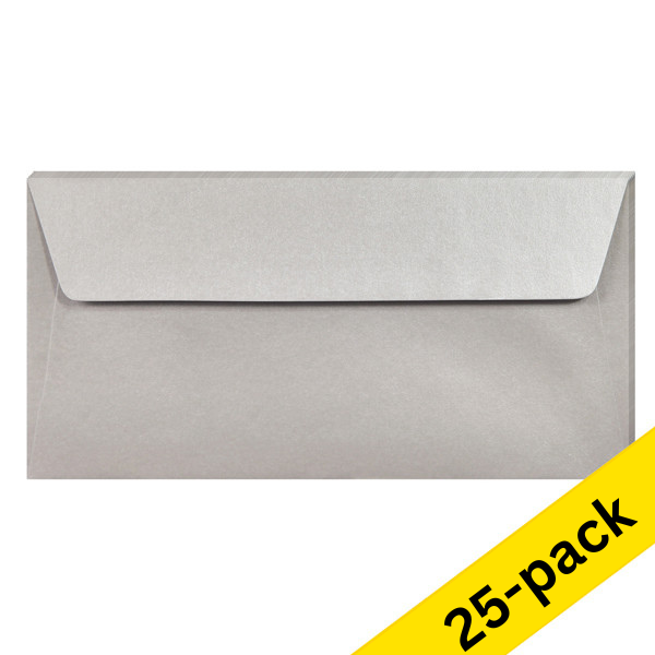 DL (EA5/6) envelope 110 x 220mm | silver self-adhesive, 120g | Clairefontaine | 25-pack 424794 - 1