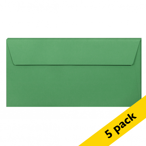 Clairefontaine EA5/6 forest green coloured envelopes, 120g (5-pack) 26595C 250318 - 1