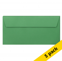 Clairefontaine EA5/6 forest green coloured envelopes, 120g (5-pack) 26595C 250318