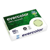 Clairefontaine Evercolor light green A4 recycled paper, 80gsm (500 sheets) 250386
