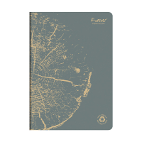 Clairefontaine Forever Premium grey A4 lined notebook, 48 sheets 684664C 250456