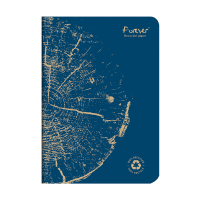 Notebook lined A5 | blue | Clairefontaine Forever | 48 sheets 250450
