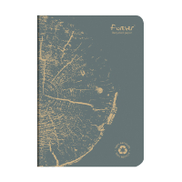 Notebook lined A5 | grey | Clairefontaine Forever | 48 sheets 250452