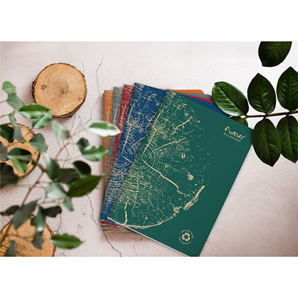 Notebook lined A5 | grey | Clairefontaine Forever | 48 sheets 250452 - 2
