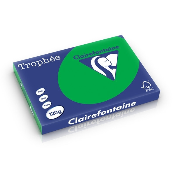 Clairefontaine billiard green A3 coloured paper, 120 gsm (250 sheets) 1272C 250230 - 1