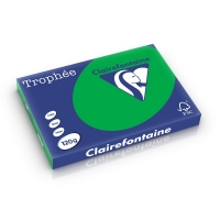 Clairefontaine billiard green A3 coloured paper, 120 gsm (250 sheets) 1272C 250230