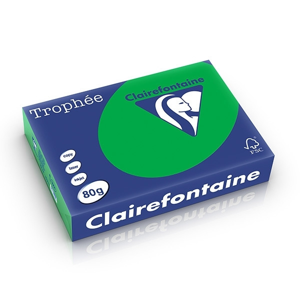 Clairefontaine billiard green A4 coloured paper, 80gsm (500 sheets) 1991C 250033 - 1