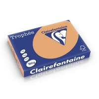Clairefontaine caramel A3 coloured paper, 160gsm (250 sheets) 250269