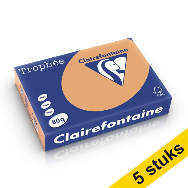 Clairefontaine caramel A4 coloured paper, 80gsm (500 sheets) (500 sheets) (5-pack) 250473 - 1