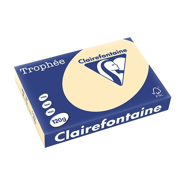 Clairefontaine chamois A4 coloured paper, 120gsm (250 sheets) 1203C 250072 - 1