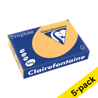 Clairefontaine golden A4 coloured paper, 80gsm (500 sheets) (5-pack)