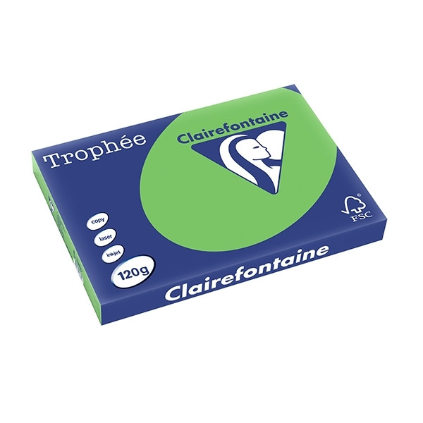 Clairefontaine grass green A3 coloured paper, 120gsm (250 sheets) 1383C 250141 - 1