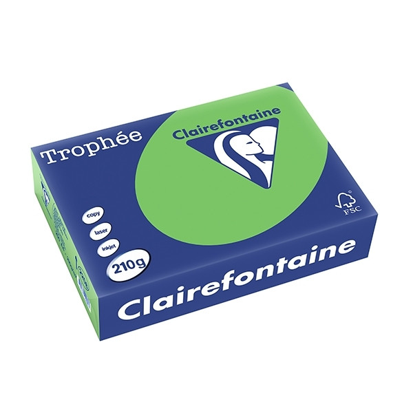 Clairefontaine grass green A4 coloured paper, 210gsm (250 sheets) 2208C 250103 - 1