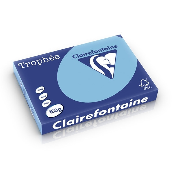 Clairefontaine lavender A3 coloured paper, 160 gsm (250 sheets) 250276 - 1
