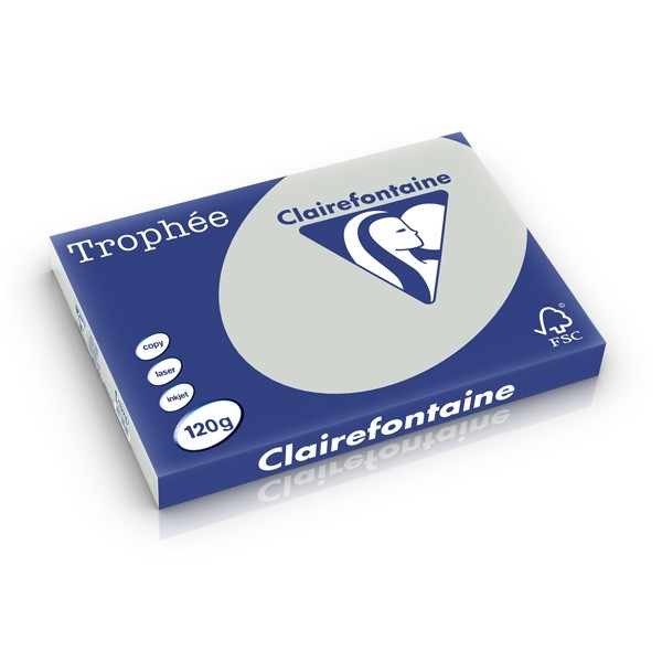 Clairefontaine light grey A3 coloured paper, 120 gsm (250 sheets) 1274C 250213 - 1