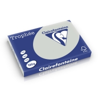 Clairefontaine light grey A3 coloured paper, 120 gsm (250 sheets) 1274C 250213