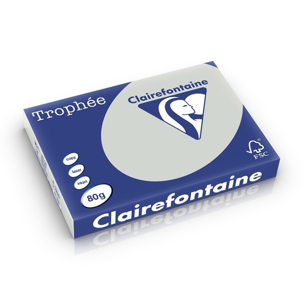 Clairefontaine light grey A3 coloured paper, 80gsm (500 sheets) 250178 - 1