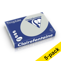 Clairefontaine light grey A4 coloured paper, 120 gsm (250 sheets) (5-pack)