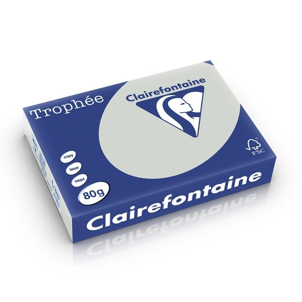 Clairefontaine light grey A4 coloured paper, 80gsm (500 sheets) 1993C 250161 - 1