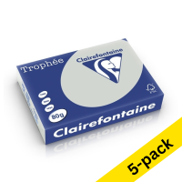 Clairefontaine light grey A4 coloured paper, 80gsm (5 x 500 sheets) 250471