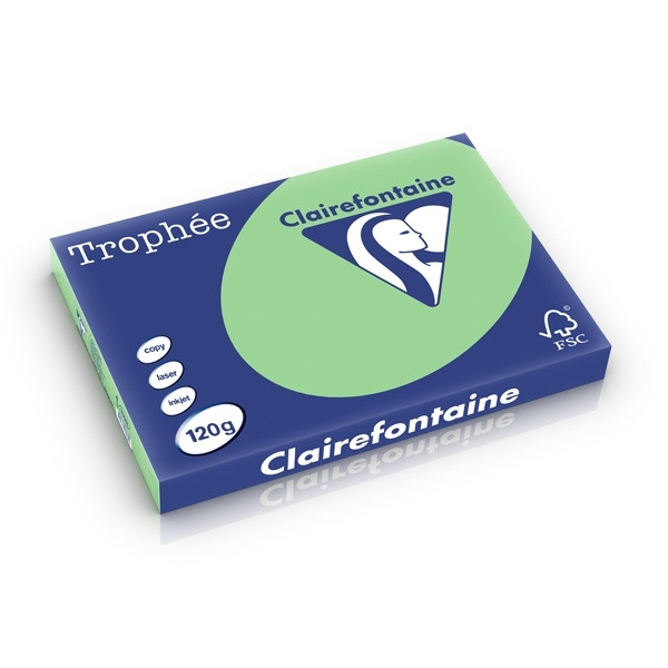 Clairefontaine natural green A3 coloured paper, 120 gsm (250 sheets) 1328C 250224 - 1