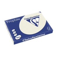 Clairefontaine pearl grey A3 coloured paper, 120 gsm (250 sheets) 1301C 250125