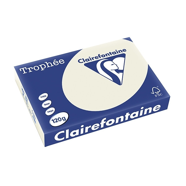 Clairefontaine pearl grey A4 coloured paper, 120gsm (250 sheets) 1201C 250070 - 1