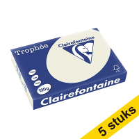 Clairefontaine pearl grey A4 coloured paper, 120gsm (5 x 250 sheets)