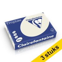 Clairefontaine pearl grey A4 coloured paper, 160gsm (3 x 250 sheets)