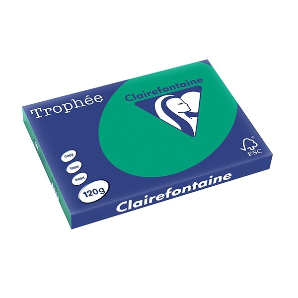 Clairefontaine pine green A3 coloured paper, 120gsm (250 sheets) 1384C 250142 - 1