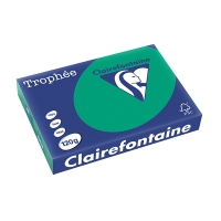 Clairefontaine pine green A4 coloured paper, 120 gsm (250 sheets) 1224C 250086