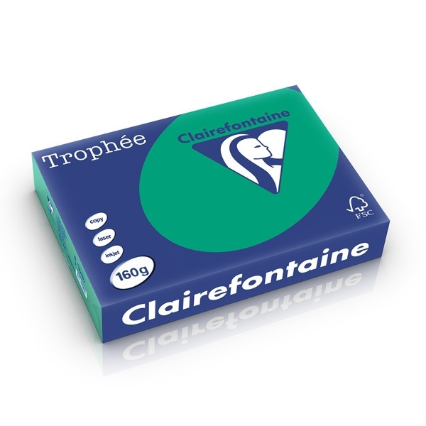 Clairefontaine pine green A4 coloured paper, 160gsm (250 sheets) 1019PC 250266 - 1