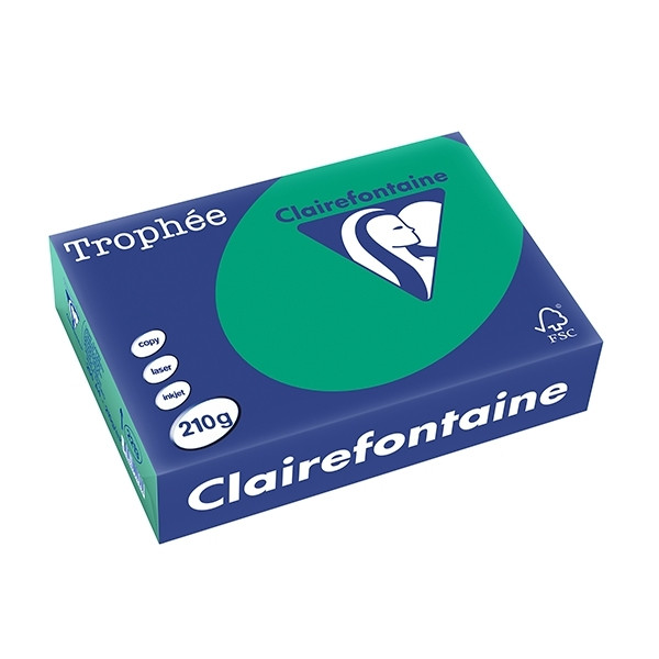 Clairefontaine pine green A4 coloured paper, 210 gsm (250 sheets) 2213C 250105 - 1