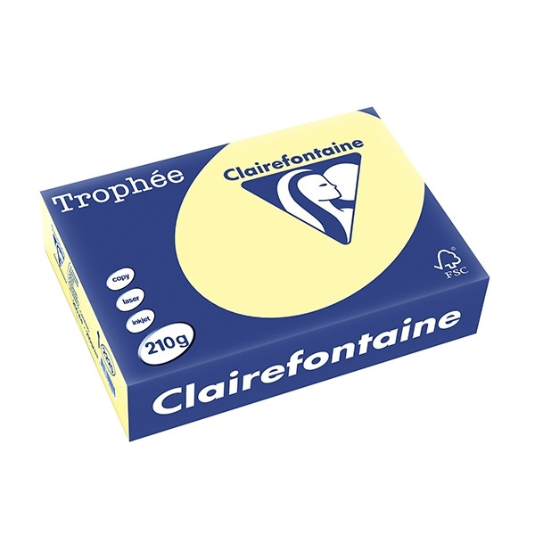Clairefontaine yellow A4 coloured paper, 210gsm (250 sheets) 2220C 250091 - 1