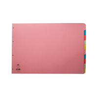 | Cardboard tabs (10 coloured landscape tabs) | A3, 4-hole | Concord IE000852