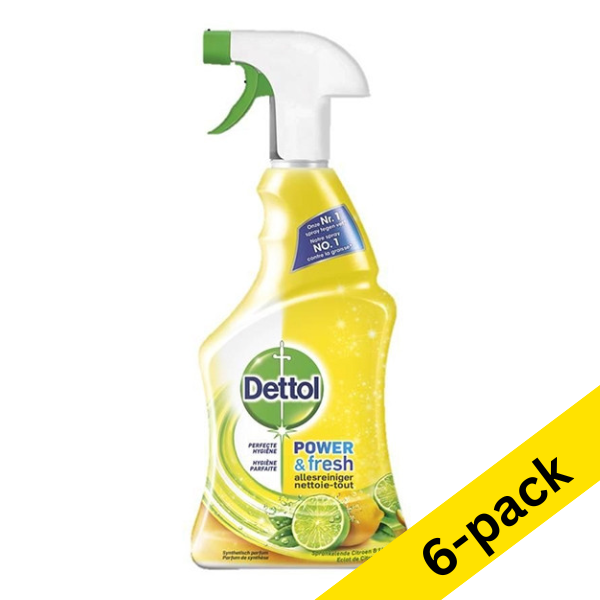 Dettol Power & Fresh Lemon all-purpose cleaner spray, 500ml (6-pack) SDE01024 - 1