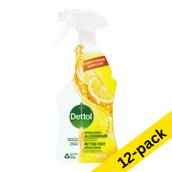 Dettol Trigger Citrus all-purpose cleaner spray, 750ml (12-pack) SDE01128 - 1