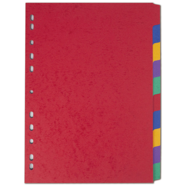 | Cardboard tabs (10 coloured tabs) | A4, 11-hole | Elba Heavyweight IE000596 - 3