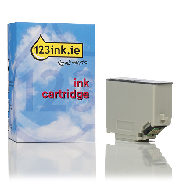 Epson 202XL high capacity photo black ink cartridge (123ink version) C13T02H14010C 027139 - 1
