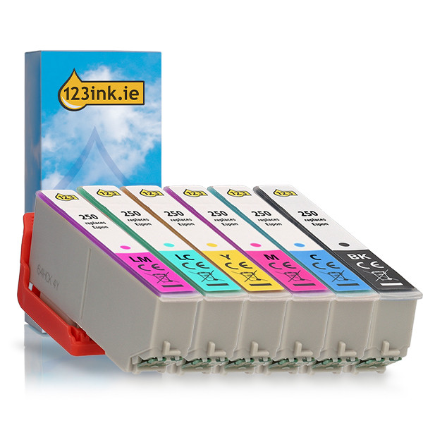 Epson 250 BK/C/M/Y/LC/LM ink cartridge 6-pack (123ink version) 652109 - 1