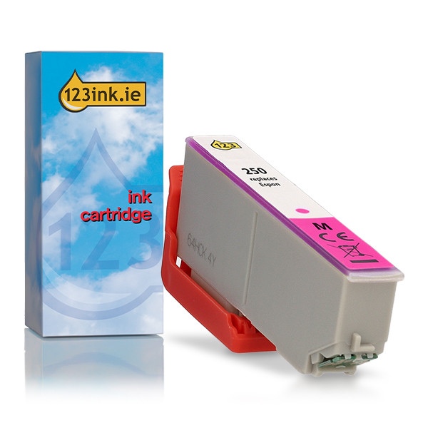 Epson 250 magenta ink cartridge (123ink version) 652089 - 1