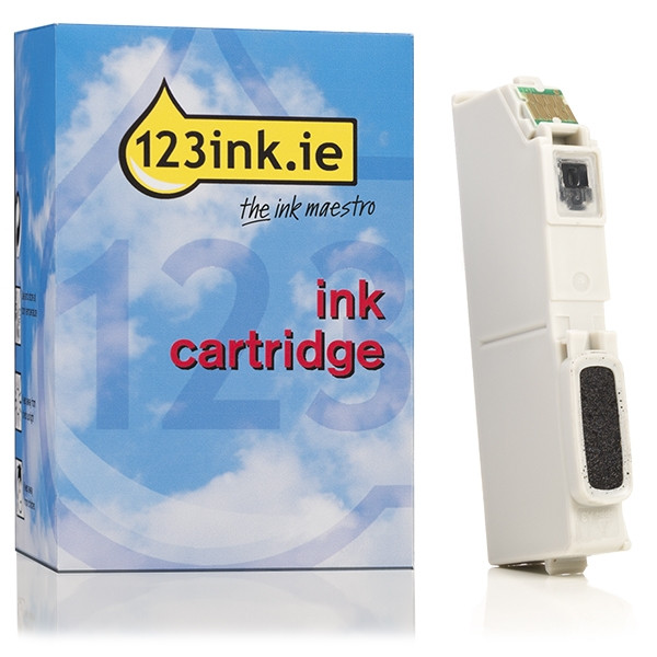 Epson 26XL (T2631) high-capacity photo black ink cartridge (123ink version) 026511 - 1