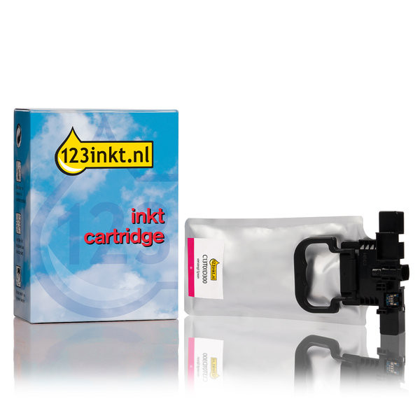 Epson C13T01D300 extra high-capacity magenta ink cartridge (123ink version) 052111 - 1