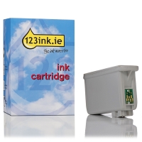 Epson T015 black ink cartridge (123ink Version) C13T01540110C 022010