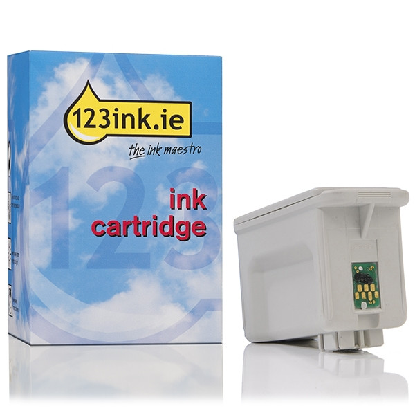 Epson T017 black ink cartridge (123ink version) C13T01740110C 020620 - 1