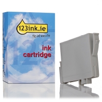 Epson T0481 black ink cartridge (123ink version) C13T04814010C 022531