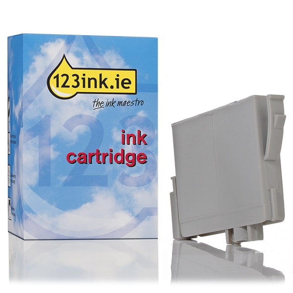 Epson T0482 cyan ink cartridge (123ink version) C13T04824010C 022551 - 1