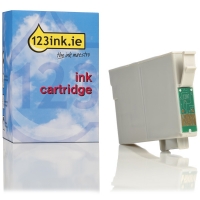 Epson T1291 high capacity black ink cartridge (123ink version) C13T12914011C C13T12914012C 026288