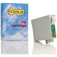 Epson T1293 high capacity magenta ink cartridge (123ink version) C13T12934011C C13T12934012C 026294