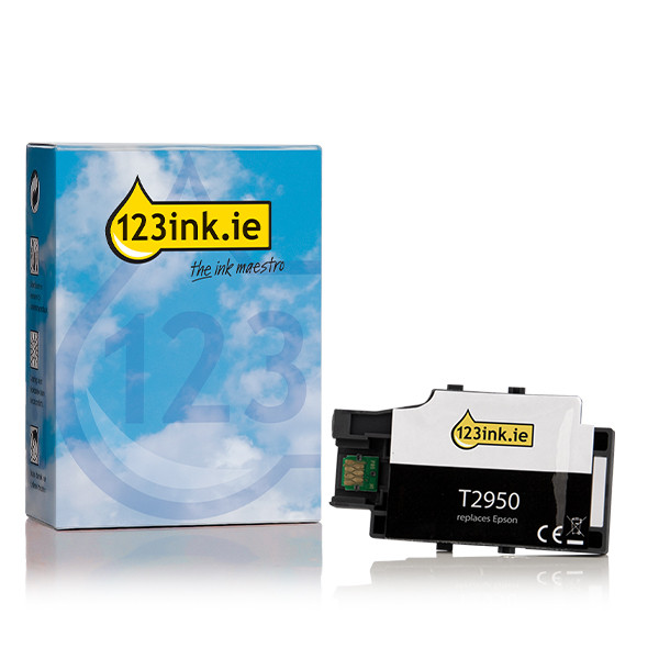 Epson T2950 maintenance box (123ink version) C13T295000C 026721 - 1